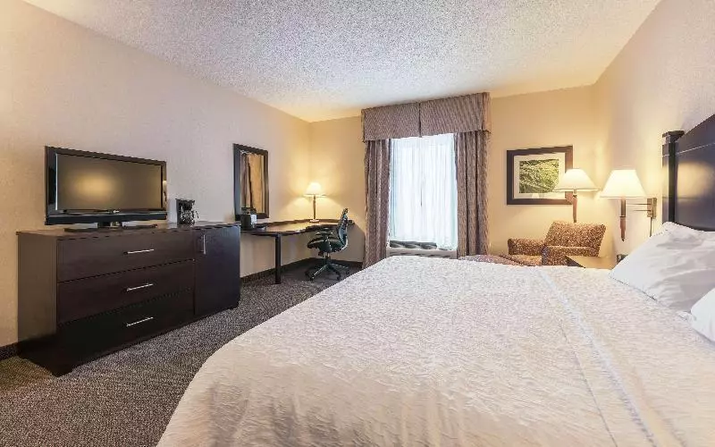 اتاق استاندارد با تخت بزرگ, Hampton Inn & Suites By Hilton Moncton