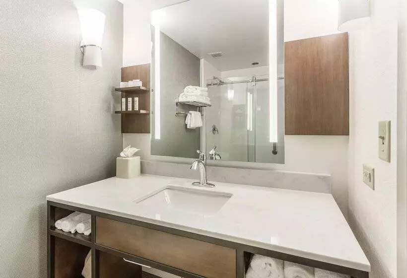 スイート, Hilton Garden Inn Chicago/tinley Park
