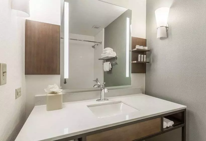 スイート, Hilton Garden Inn Chicago/tinley Park