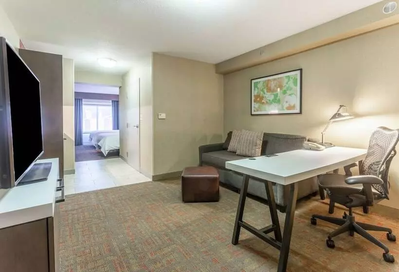スイート, Hilton Garden Inn Chicago/tinley Park