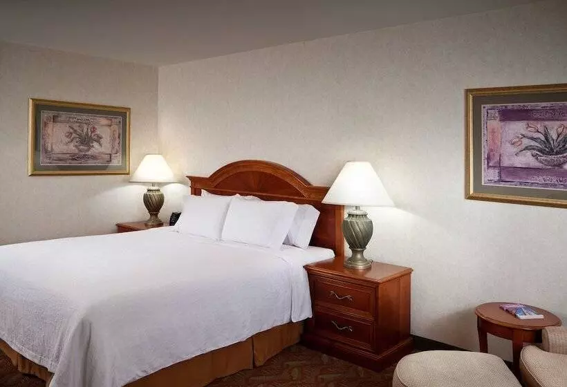 身障者適用スタンダードルーム, Hilton Garden Inn Tri Cities/kennewick