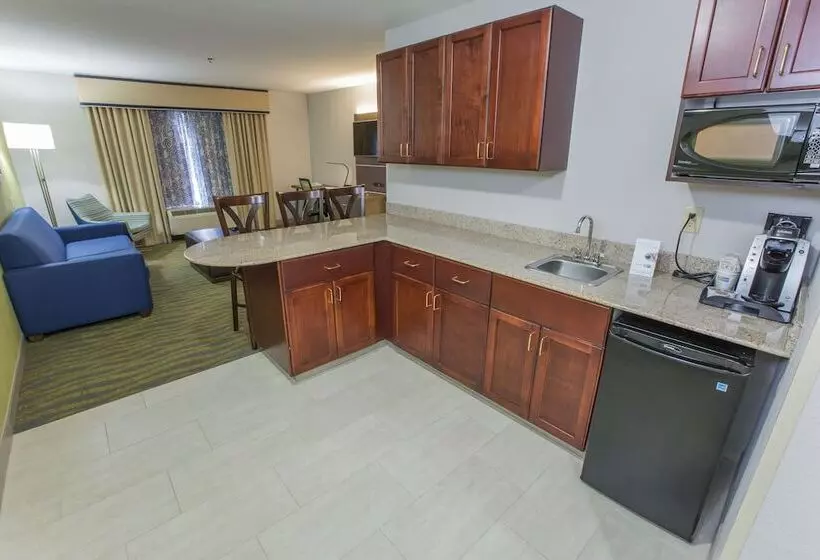 スイート, Holiday Inn Express Hotel & Suites Mcdonough, An Ihg