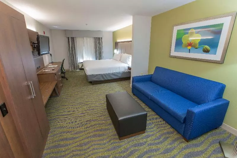 キングサイズベッドのスタンダードルーム, Holiday Inn Express Hotel & Suites Mcdonough, An Ihg