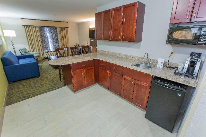 جناح سرير كينج, Holiday Inn Express Hotel & Suites Mcdonough, An Ihg