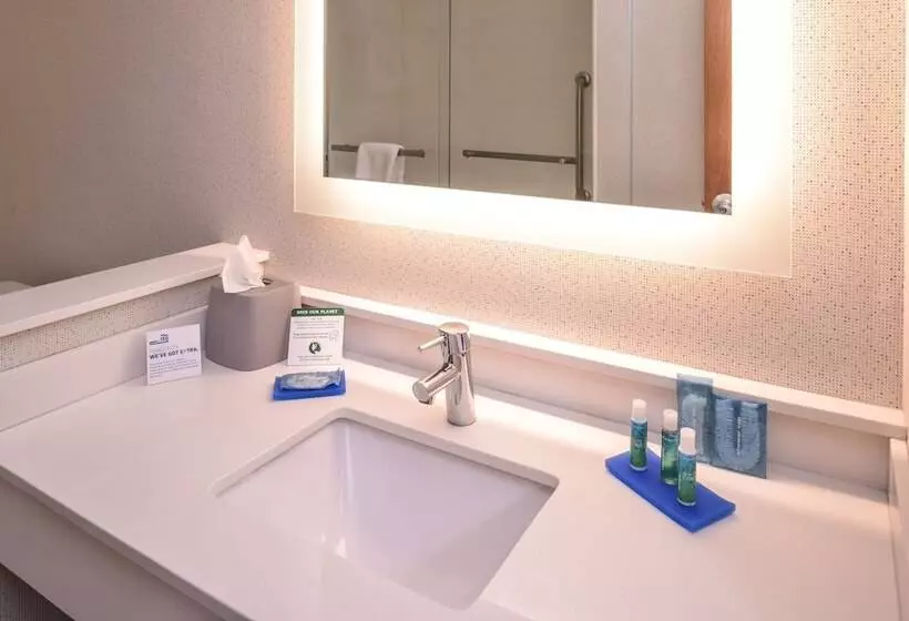 スタンダードルーム, Holiday Inn Express Hotel & Suites Southfield   Detroit, An Ihg