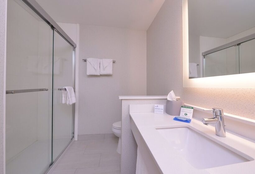 חדר סטנדרט, Holiday Inn Express Hotel & Suites Southfield   Detroit, An Ihg