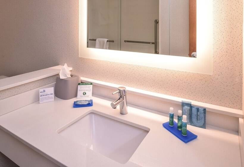 סוויטה, Holiday Inn Express Hotel & Suites Southfield   Detroit, An Ihg