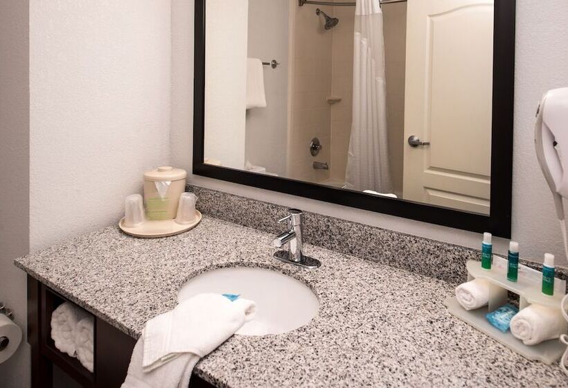 غرفة قياسية, Holiday Inn Express & Suites Alamogordo Highway 54/70, An Ihg