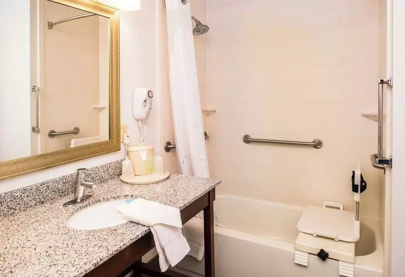 اتاق استاندارد, Holiday Inn Express & Suites Alamogordo Highway 54/70, An Ihg