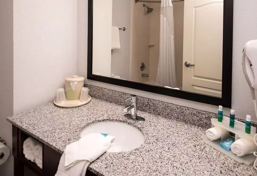 سوییت, Holiday Inn Express & Suites Alamogordo Highway 54/70, An Ihg
