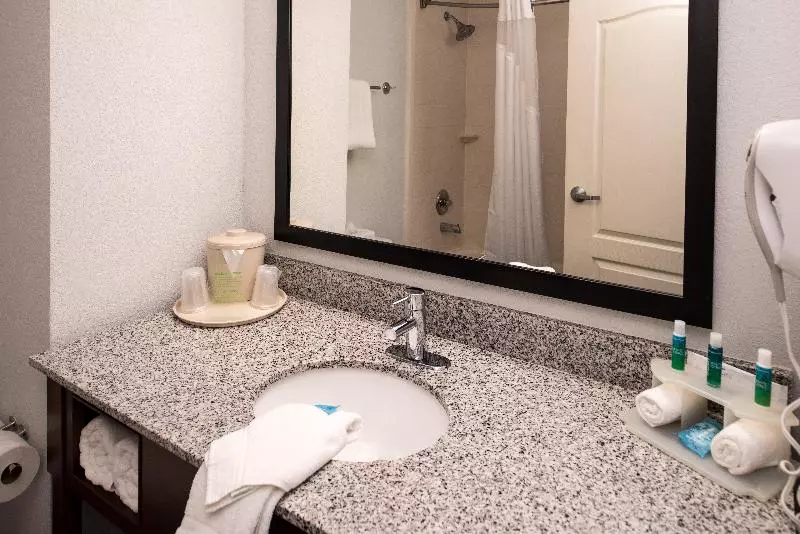 سوئیت با تخت بزرگ, Holiday Inn Express & Suites Alamogordo Highway 54/70, An Ihg