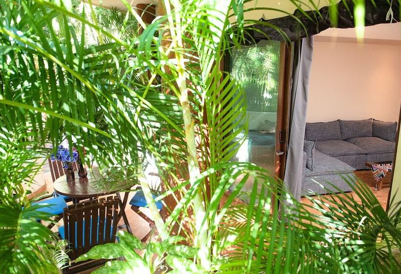 带1个卧室的公寓, Porto Playa Condo Hotel And Beach Club