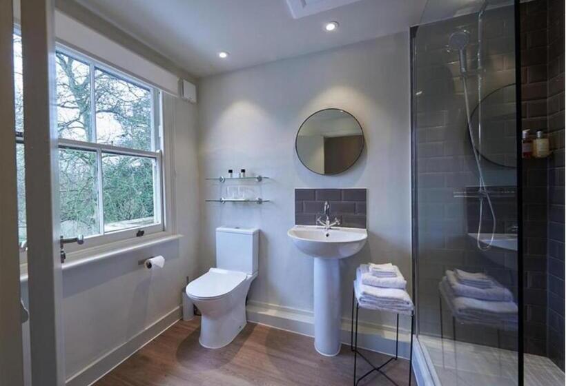 غرفة قياسية سرير كينج, The Swan At Forest Row