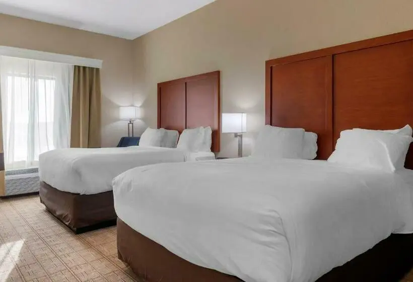 スタンダードルーム, Comfort Inn & Suites