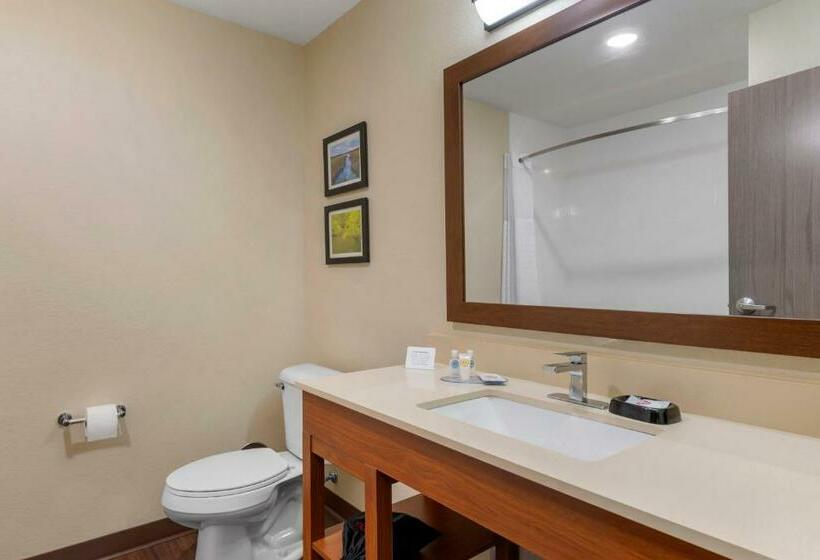 جناح سرير كينج, Comfort Inn & Suites