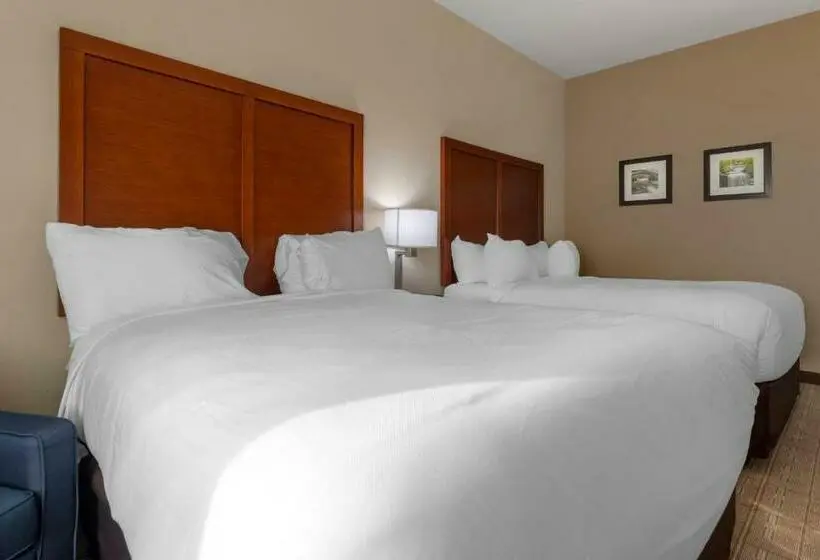 身障者適用クイーンサイズベッドルーム, Comfort Inn & Suites
