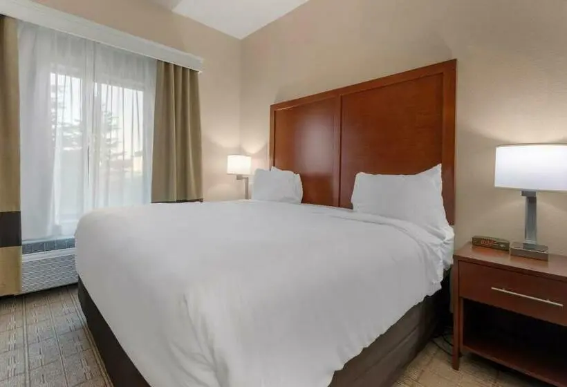 キングサイズベッドのスイートルーム, Comfort Inn & Suites