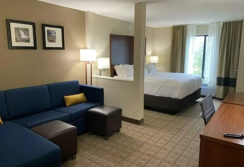 キングサイズベッドのスイートルーム, Comfort Inn & Suites