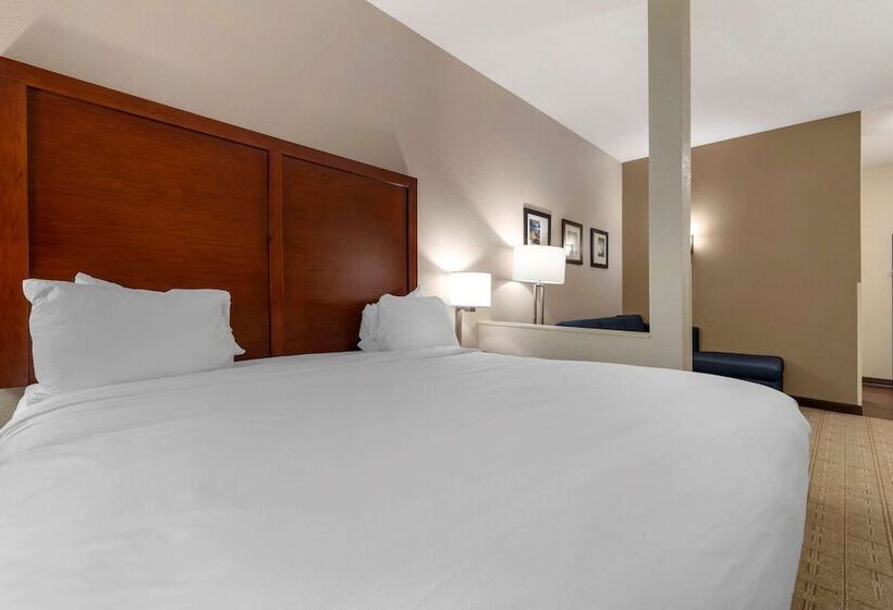 Люкс Адаптированный для Инвалидов, Comfort Inn & Suites