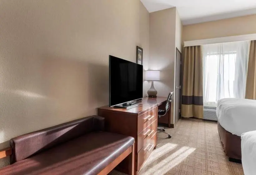 身障者適用クイーンサイズベッドルーム, Comfort Inn & Suites