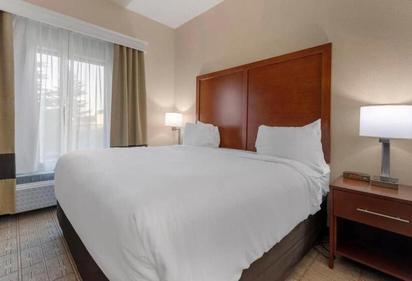 جناح لذوى الاحتياجات الخاصة, Comfort Inn & Suites