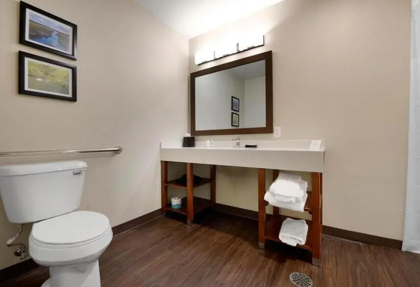 身障者適用スイートルーム, Comfort Inn & Suites