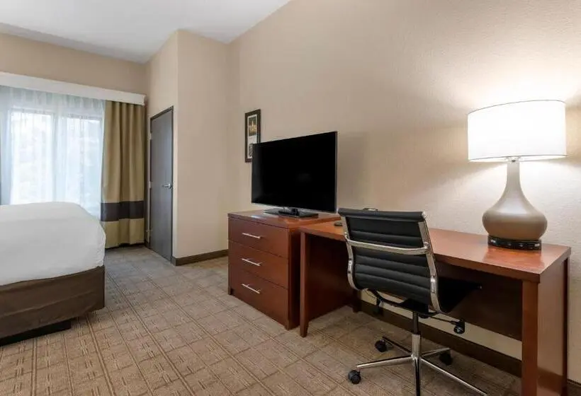 身障者適用スイートルーム, Comfort Inn & Suites
