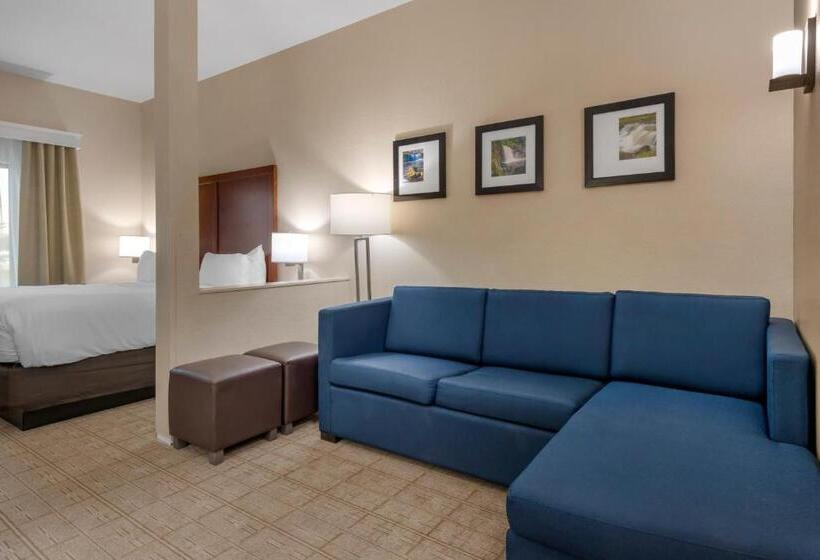 غرفة قياسية سرير كينج لذوى الإحتياجات الخاصة, Comfort Inn & Suites