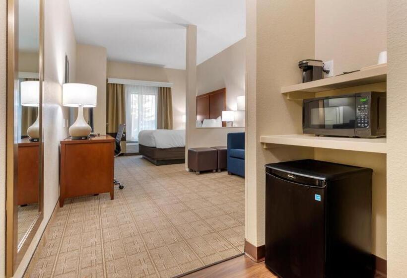 Номер Стандарт Кровать Кинг Адаптированный для Инвалидов, Comfort Inn & Suites