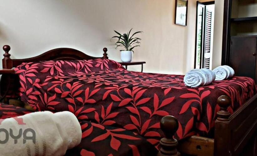 اتاق استاندارد چهار تخته, Coya Hostel