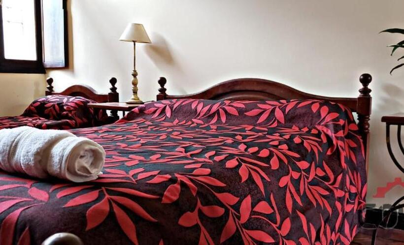 4인용 스탠다드 룸, Coya Hostel