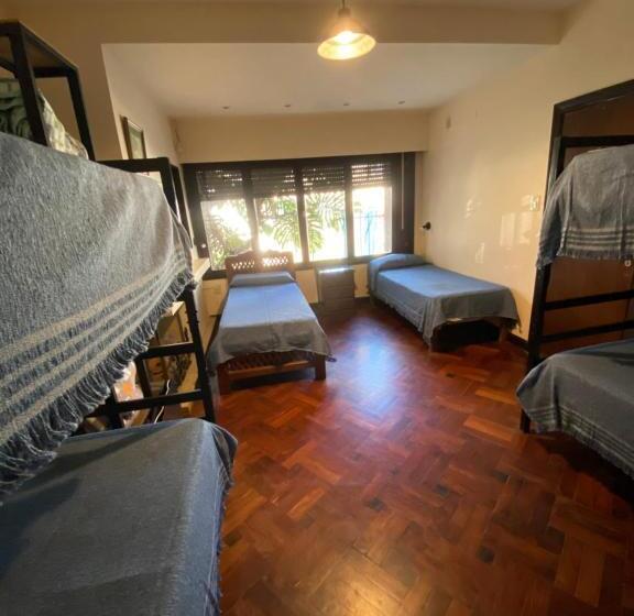 공동 객실, Coya Hostel