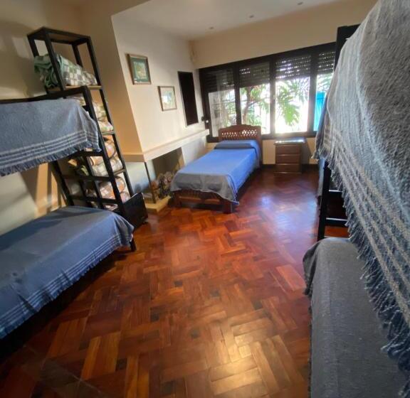 공동 객실, Coya Hostel