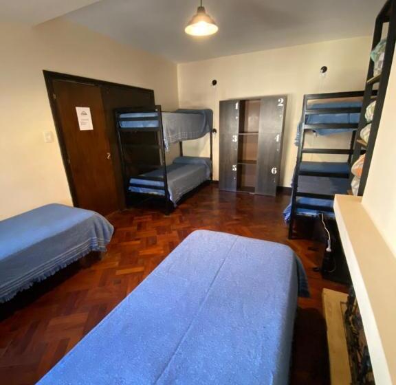 공동 객실, Coya Hostel