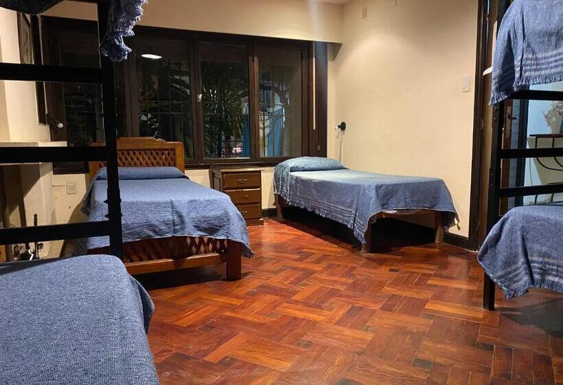 تختخواب در اتاق مشترک, Coya Hostel