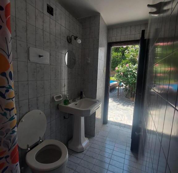 공동 객실, Coya Hostel