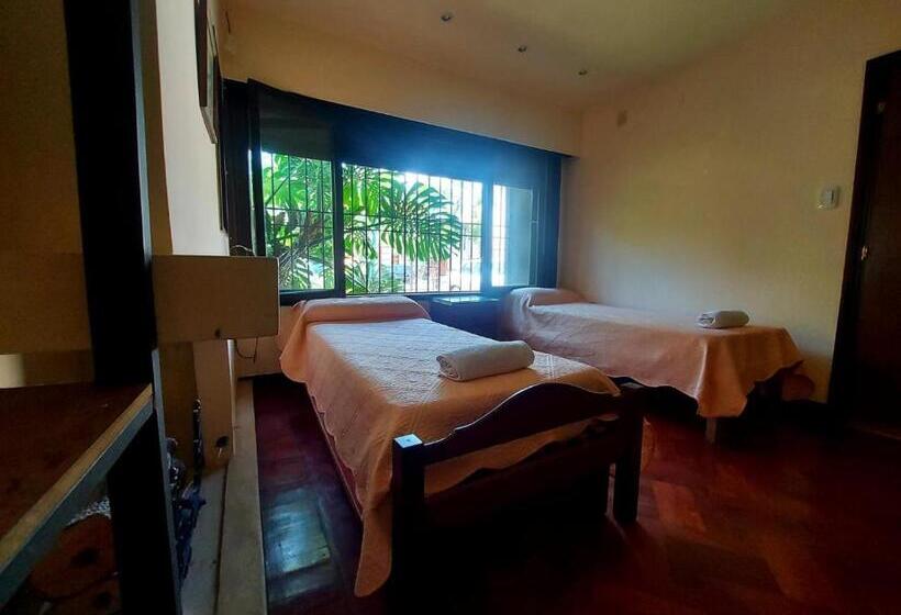 تختخواب در اتاق مشترک, Coya Hostel