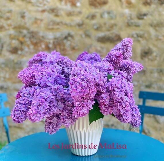 Шале Superior 1 Спальня, Les Jardins De Malisa