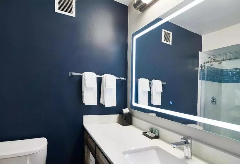 身障者適用キングサイズベッドルーム, Doubletree By Hilton Hilton Head Island