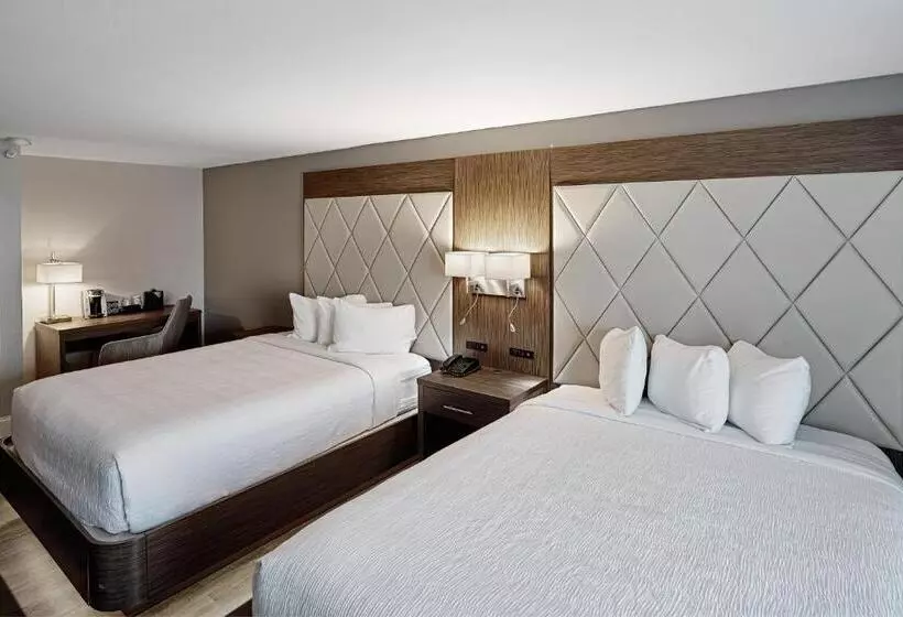 身障者適用スタンダードルーム, Doubletree By Hilton Hilton Head Island