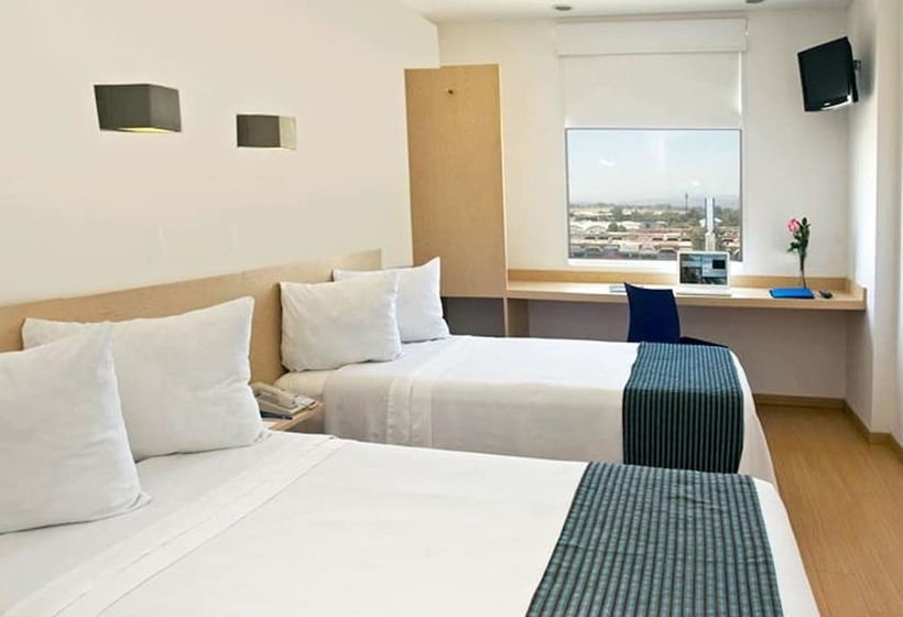 اتاق سوپریور, One Aguascalientes San Marcos