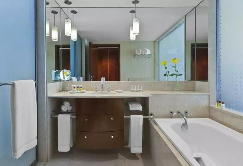 اتاق استاندارد با تخت بزرگ, Sheraton Mendoza