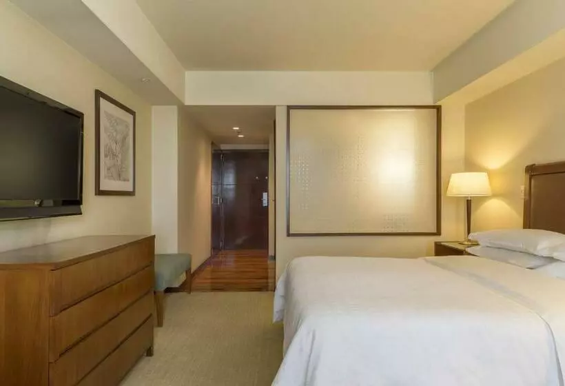 اتاق استاندارد با تخت بزرگ, Sheraton Mendoza