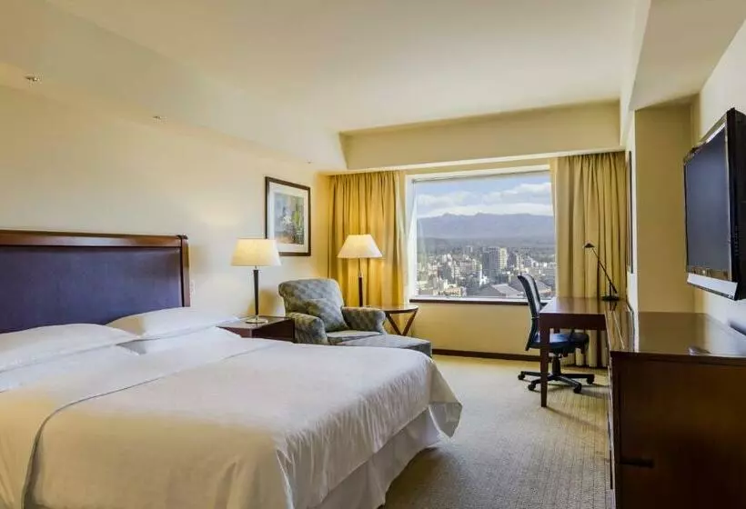 اتاق استاندارد با تخت بزرگ, Sheraton Mendoza