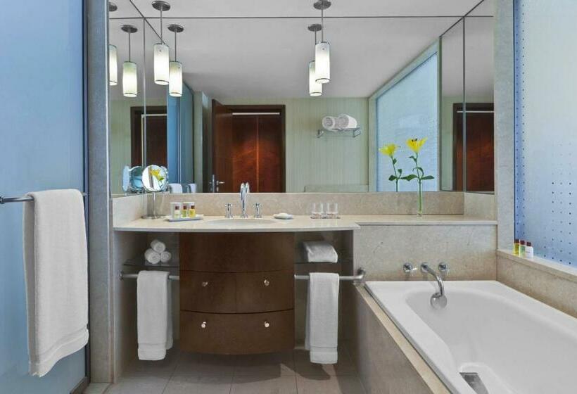 غرفة قياسية مطلة على المدينة, Sheraton Mendoza