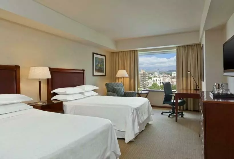 اتاق استاندارد با چشم‌انداز شهر, Sheraton Mendoza