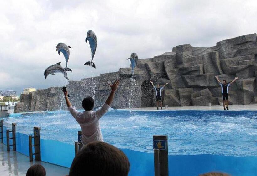 اتاق استاندارد, Viva Blue Batumi