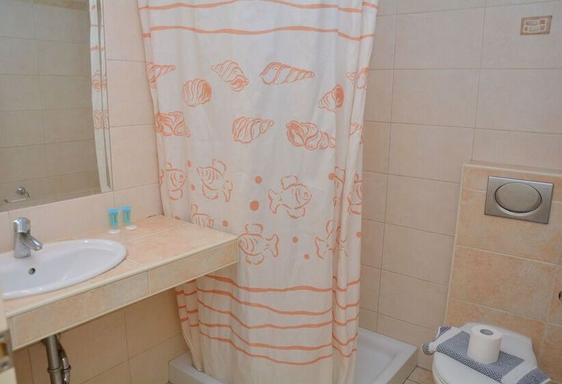 חדר אקונומי, Poseidon