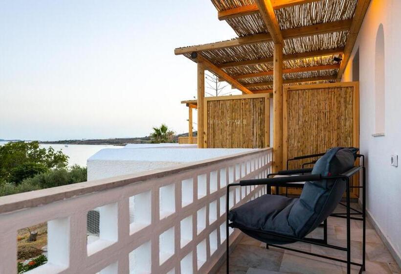 带海景的标准房, Omilos Beachfront House