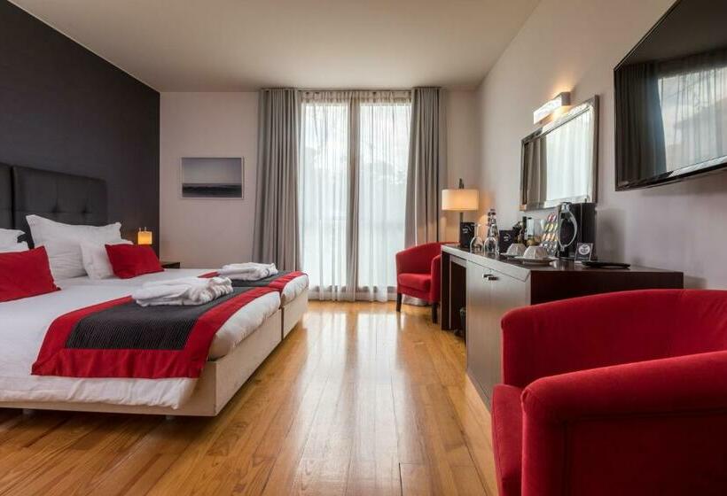 استودیو استاندارد با چشمانداز, Arts In Hotel Conde Carvalhal